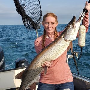 Meet your Posher, Tina